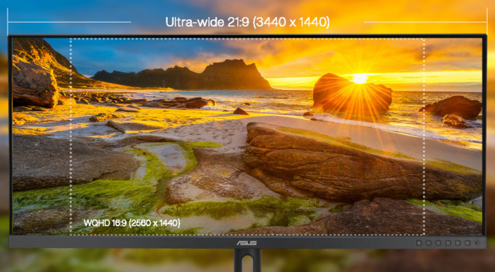 ASUS ProArt Display PA348CGV 2