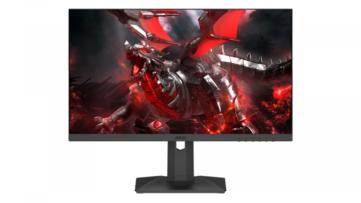 Monitor MSI Optix G251PF widok frontu