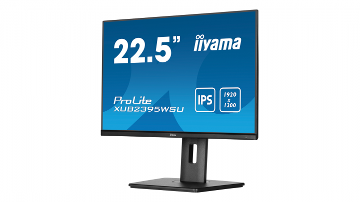 Monitor IIYAMA ProLite XUB2395WSU-B5 2