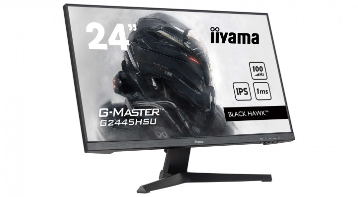 Monitor iiyama G-Master G2445HSU-B2 4