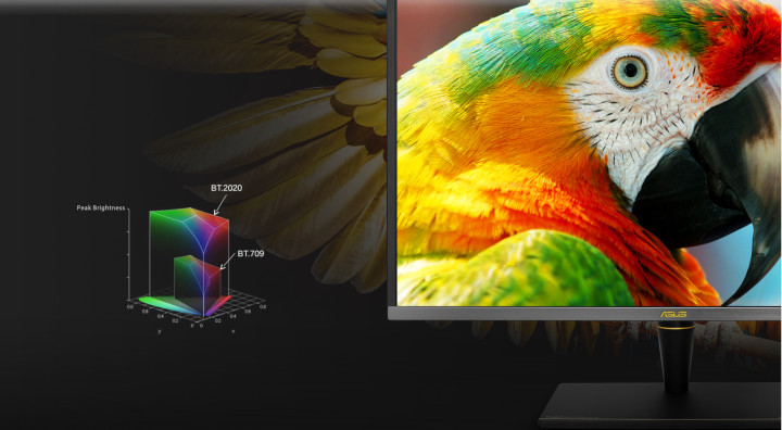 ASUS ProArt Display PA27UCX-K 5