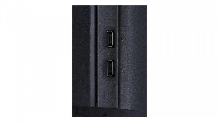 Monitor IIYAMA ProLite XUB2595WSU-B1 - widok portów