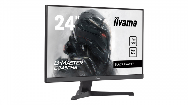 Monitor IIYAMA G-Master G2450HS-B1 - widok frontu3