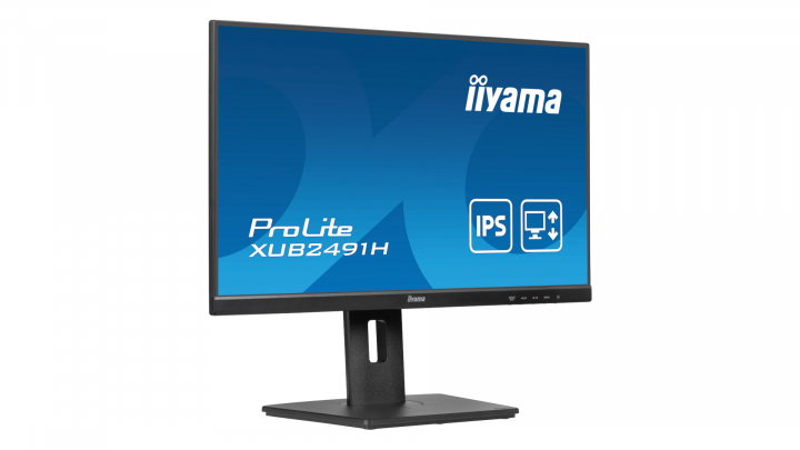 Monitor iiyama ProLite XUB2491H-B1 6
